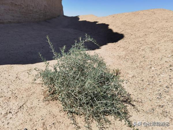 漢EV自駕甘肅，駕駛純電動比亞迪漢去探尋漢長城的遺蹟