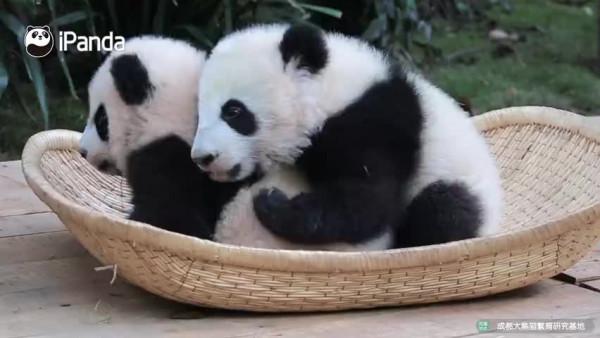 論在冬天找人暖被窩的重要性