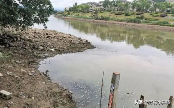 資深釣友總結的上魚經驗,看看你都知道幾點 資深釣友總結的上魚經驗,看看你都知道幾點