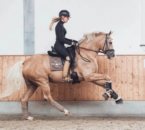 用重心和坐骨更有效地輔助馬匹進行轉彎