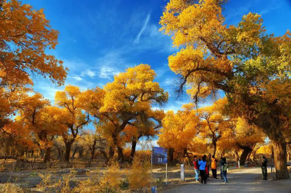 一到十月，這些地方的顏值就爆表，錯過就是一年
