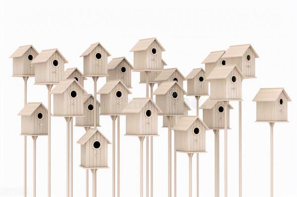 珍惜細微的一切,更用力去熱愛陽光吧 珍惜細微的一切,更用力去熱愛陽光吧