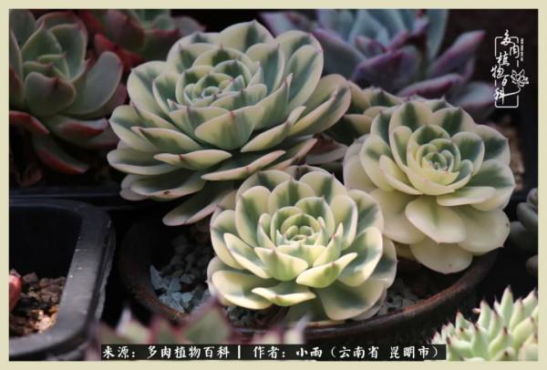 用一份熱愛，溫暖一段時光