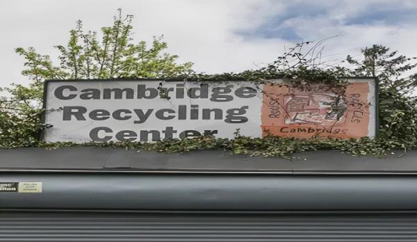 聖誕節過完了，聖誕樹要咋處理啊？盤點波士頓回收聖誕樹方法