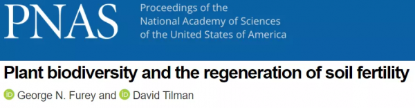 26年實驗！科學家證實植物多樣性改善土壤肥力