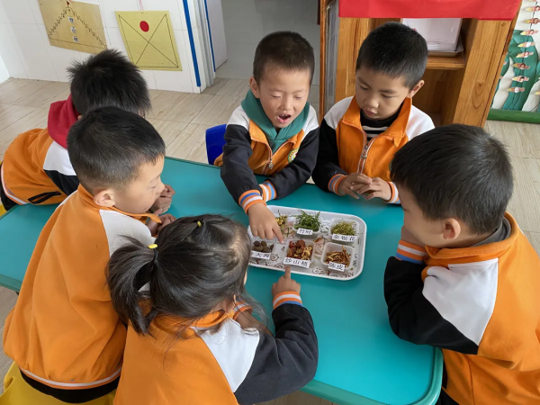 「凝“新”聚力 未來可期」範鎮中心幼兒園新教師課堂展示活動 「凝“新”聚力 未來可期」範鎮中心幼兒園新教師課堂展示活動