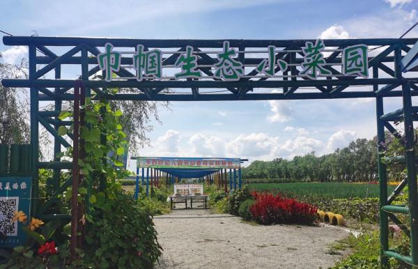 奮鬥村：小菜園變身“增收園”