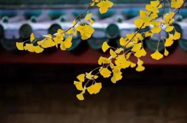 會說話的人，往往會做到這三點