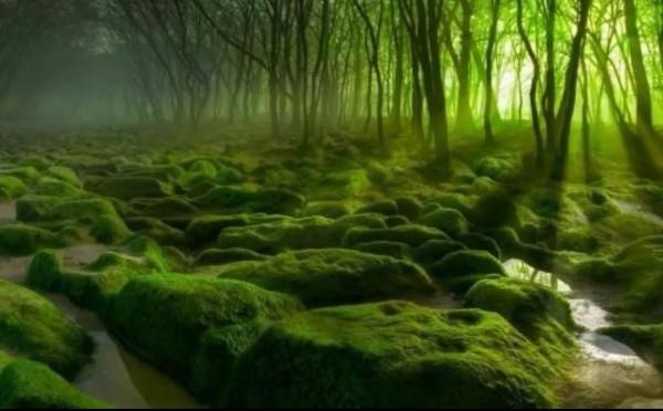 尊重自己才能得到別人的尊重 尊重自己才能得到別人的尊重