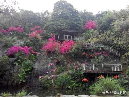 鄉村產業發展，如何有效利用&OpenCurlyDoubleQuote;四荒地&rdquo;？5大創意玩法值得借鑑