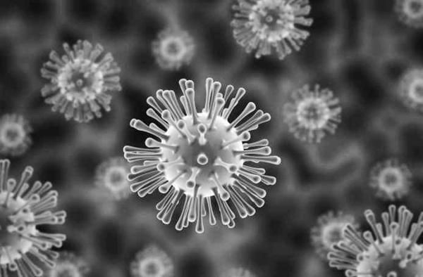 順治有八個兒子，康熙非嫡非長，還有漢族血統，為啥能繼承皇位？