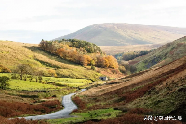你還記得深秋英國的樣子嗎?若你還在,與你共享 你還記得深秋英國的樣子嗎?若你還在,與你共享