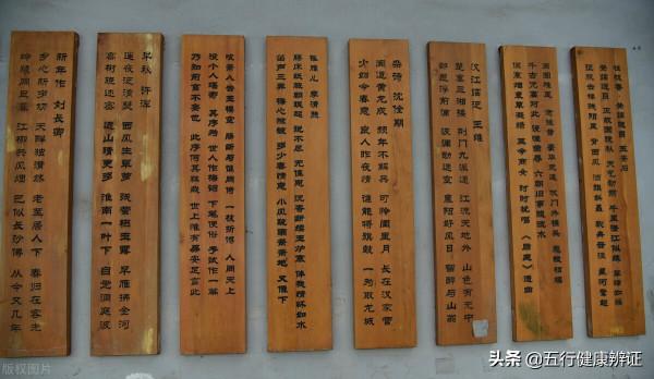 《黃帝內經》說:語為肝藥,咳為肺藥,涎為脾藥!怎麼理解? 《黃帝內經》說:語為肝藥,咳為肺藥,涎為脾藥!怎麼理解?