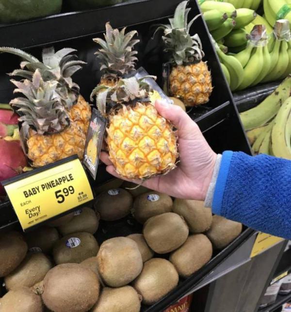 33張照片,剖開物體,或者換個角度看看!會發現又酷又有趣 33張照片,剖開物體,或者換個角度看看!會發現又酷又有趣