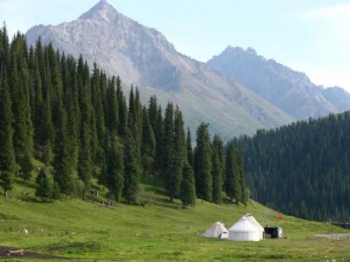 分享圖片——新疆那拉提草原