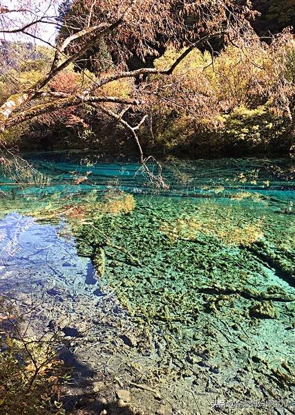 分享——令人迷幻的九寨溝