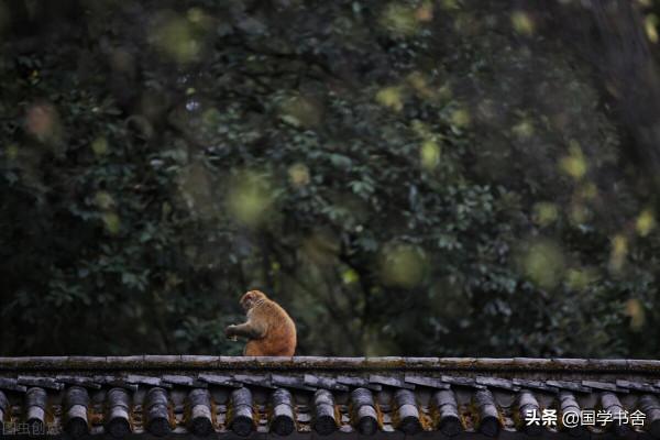 《莊子》：出離顛倒夢想，通達自性本來