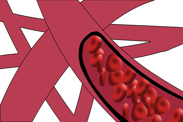 老年人下肢無力?可能是由於幾大因素導致的,教你如何應對 老年人下肢無力?可能是由於幾大因素導致的,教你如何應對