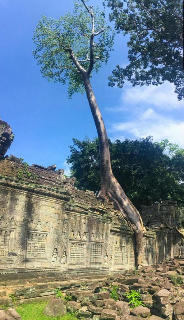 尋找失落的文明，隱蔽在叢林中的古剎，柬埔寨崩密列