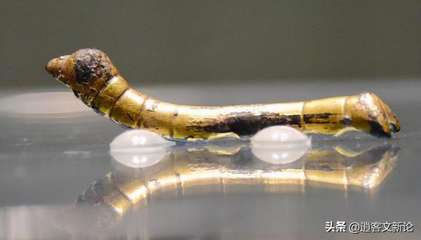 陝西農民挖沙挖到“金蠶”,拒絕文物販子收購,上交後獲百元路費 陝西農民挖沙挖到“金蠶”,拒絕文物販子收購,上交後獲百元路費