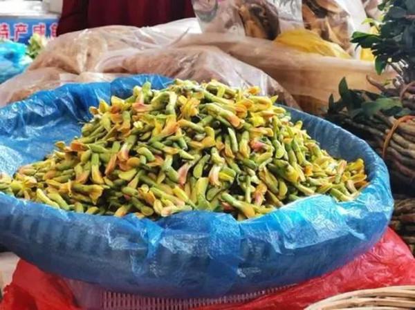春天挖野菜，這些解膩清油的小嫩苗千萬別錯過