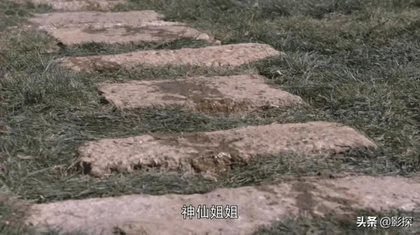 一星都是白給，再擺爛就退圈吧