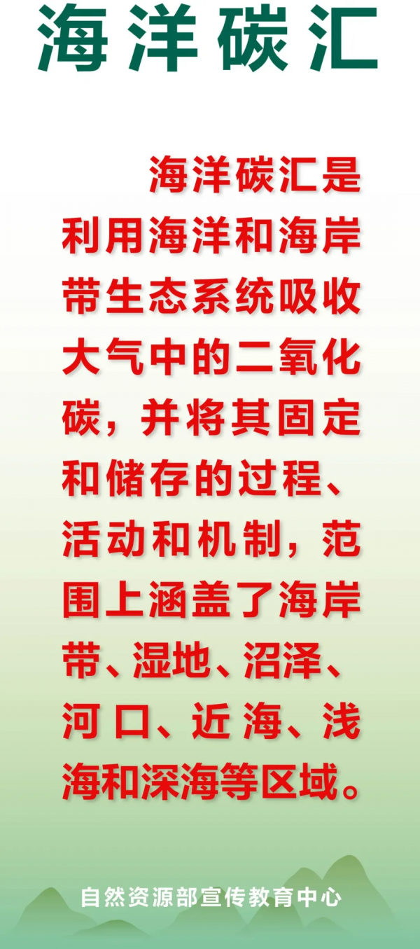 每日一詞 &vert; 海洋碳匯