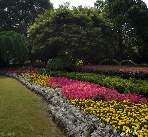 重病號之惑(短篇小說) 重病號之惑(短篇小說)