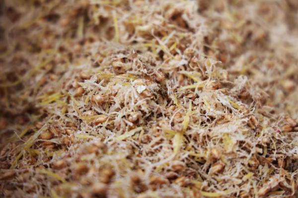 【年味】通渭糖瓜粘&mdash;&mdash;一口香甜迎新年