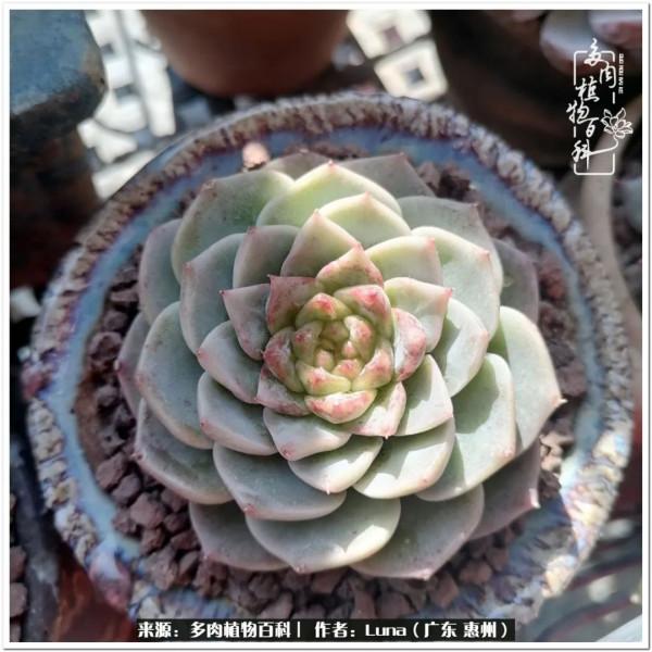 學會和解:與自己、與他人、與世界 學會和解:與自己、與他人、與世界