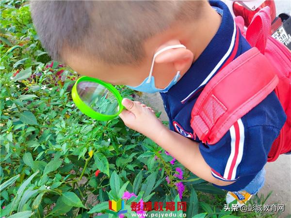 “睛”彩閃耀 明亮童心丨沈實幼愛眼護眼系列活動 “睛”彩閃耀 明亮童心丨沈實幼愛眼護眼系列活動