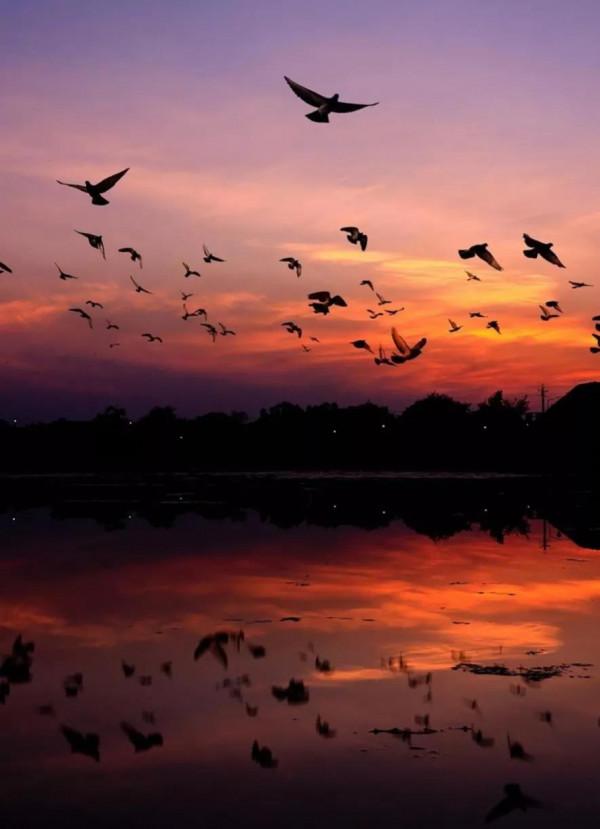 那些一眼萬年的文案