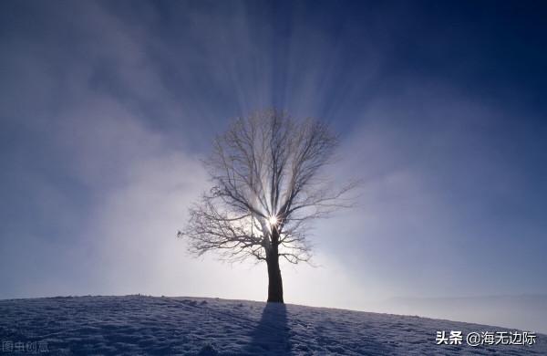 負暄閉目坐，心與虛空俱