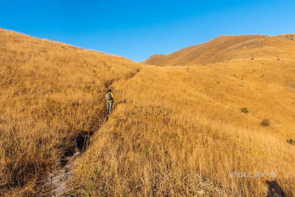 廣東最具魅力的四峰連穿徒步線路——“黃梅雪後”