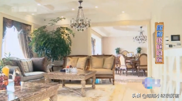 張庭夫婦3年半營收近100億，傳銷背後，他們的生活有多奢侈