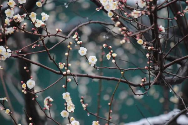 人間最美的溫情，是一碗雞湯的溫暖