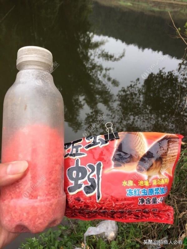 冬天釣鯽魚的技巧分享
