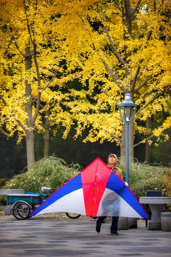 在北京過個秋天，立刻退掉了去騰衝的機票