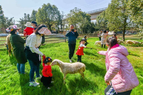 兒童城堡免費耍！還有可愛萌寵和超大草坪，公交直達，遛娃必去