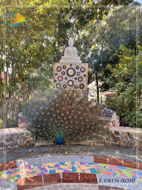 泰國的雲海仙境&mdash;&mdash;考柯