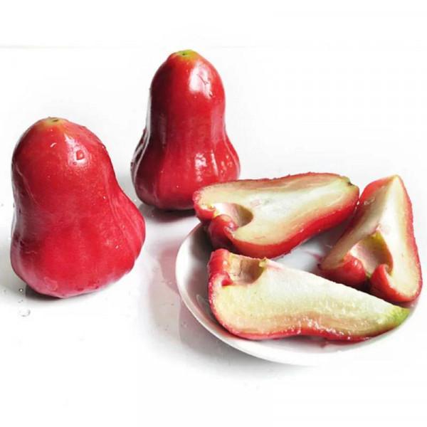 蓮霧：香甜爽脆