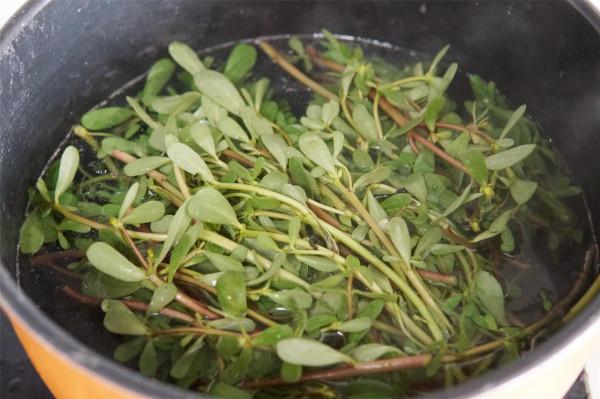 夏天,這野菜正當季,路邊摘一把,回家與雞蛋一起炒,真香啊 夏天,這野菜正當季,路邊摘一把,回家與雞蛋一起炒,真香啊