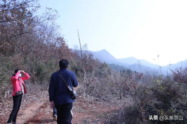 探訪京山楊集磨棋觀