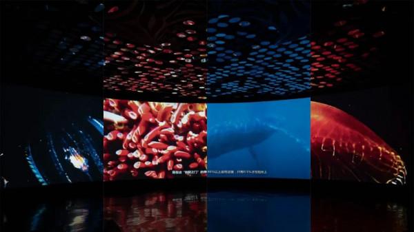 打卡！同濟這個神秘浪漫“基地”火出圈