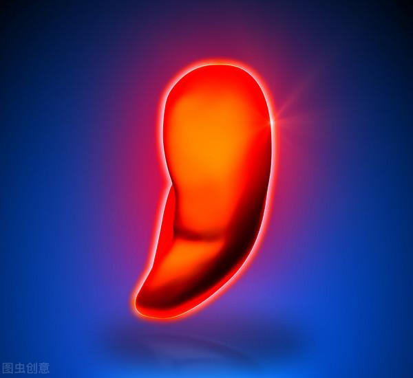 女人五臟六腑如何保養？中醫穴位養生指南