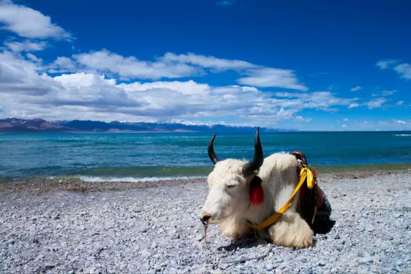 中國10座最慵懶的城市！累了煩了，趁著十一就去待幾天