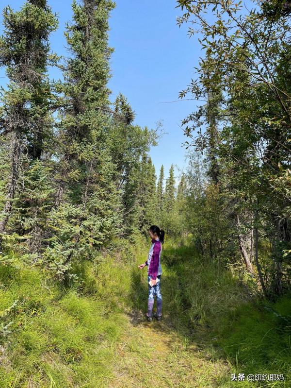 2021 阿拉斯加自駕遊（10）荒野外的荒野Wrangell國家公園