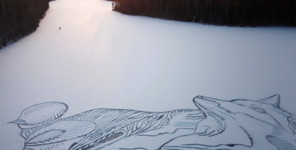 天然畫布：芬蘭藝術家在冰凍的芬蘭湖上作畫，畫出90米狐狸