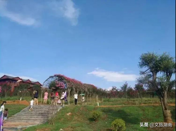 為家鄉打call！57個村鎮擬入選湖南省鄉村旅遊重點村鎮名錄