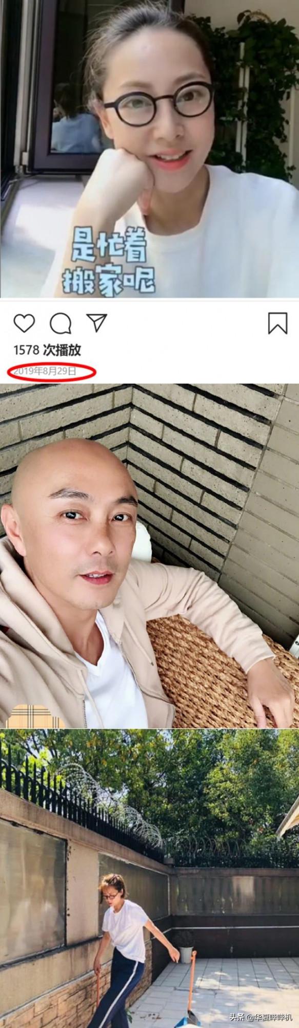 前任與老婆成朋友，兄弟反目母親為其喊冤，張衛健是個啥樣的人？